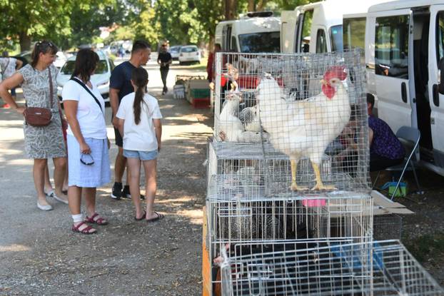 Koprivnica: Popularni buvljak zbog toplotnog vala ipak je imao nešto manje prodavača i kupaca