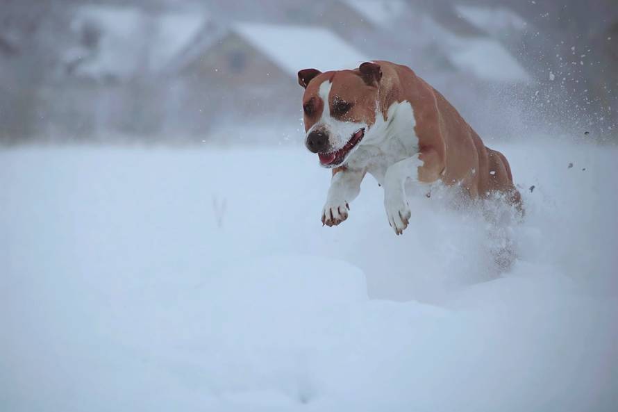 Općinska komunalka sama 'izlopatala' snijeg sa staze: 'Nema nikakve drame u tome'