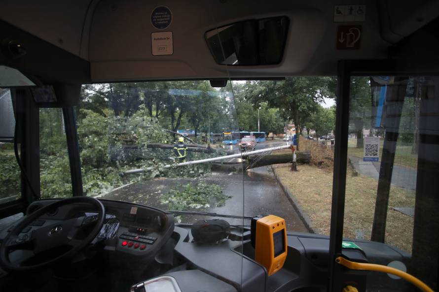 Zagreb: Vatrogasci uklanjaju stablo koje je palo u Ulici Svetog Mateja