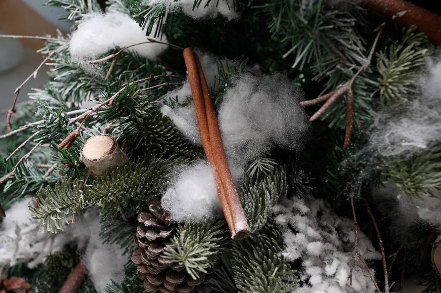 Davor Puklavec/Pixsell