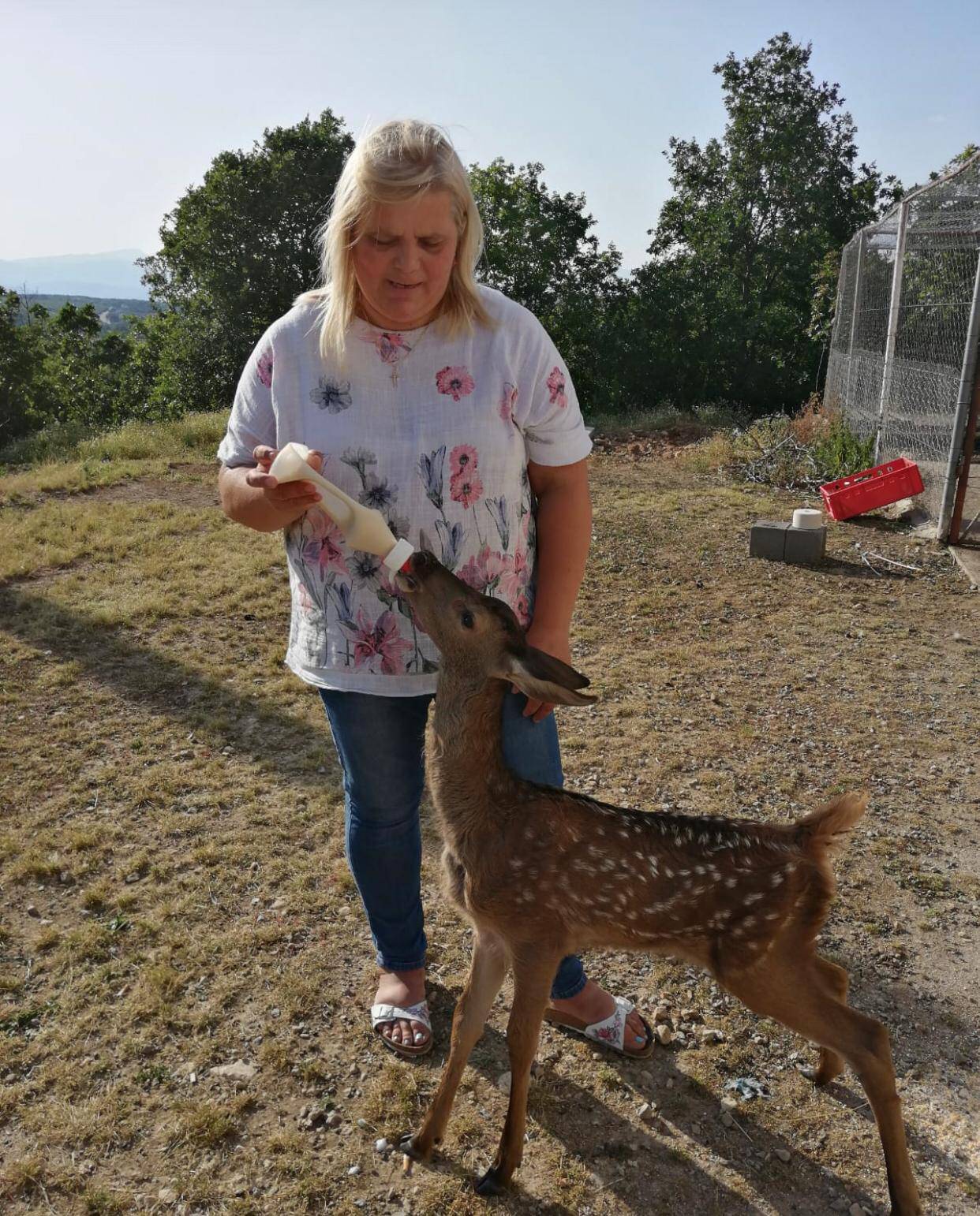 VIDEO Što si u kavu stavilaaa... 'Košuta me žicala gutljaj, jedva sam obranio šalicu. I sebe'