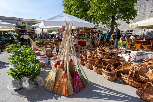Svetivinčenat: Fešta od Rožic