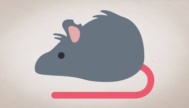 FOTO Roditelji, oprez! Ovo su tajna značenja emotikona koje djeca koriste: Pogledajte listu