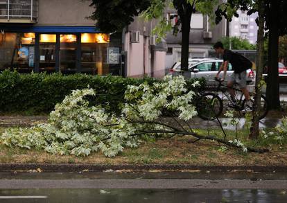 FOTO Pogledajte kako je snažno nevrijeme zahvatilo Zagreb: Na cestama kaos, srušena stabla...