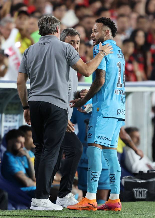 Brasileiro Championship - Flamengo v Santos