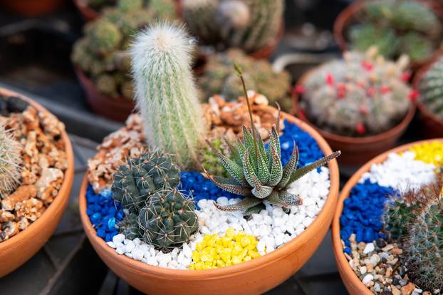 Zagreb: Brojni građani posjetili Floraart na Bundek