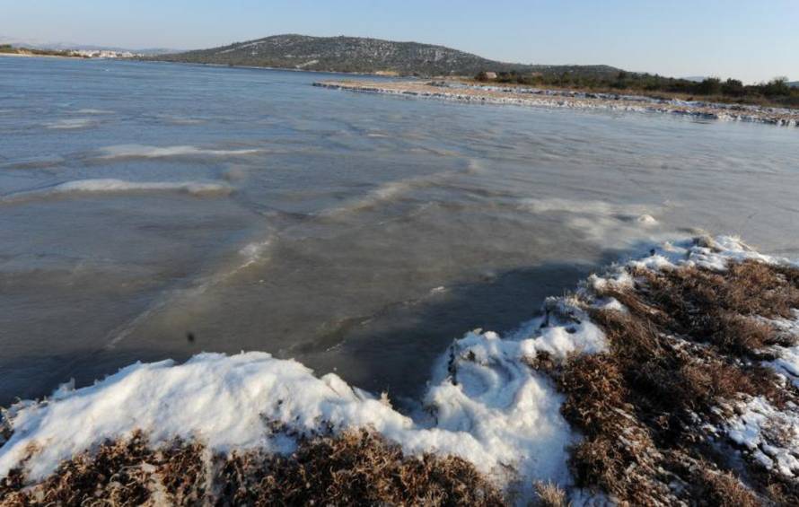 Hrvoje Jelavić/Pixsell