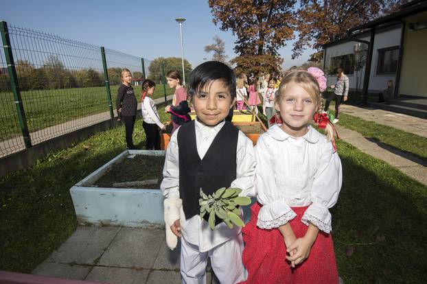 Varaždin: Učenici pete osnovne škole više od pet godina uzgajaju povrće u gredicama ispred škole
