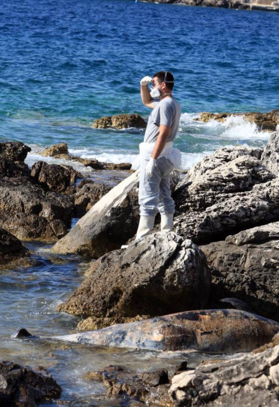 Duško Jaramaz/PIXSELL