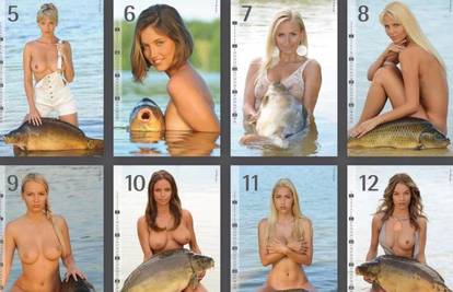 Koje ribe s ovog kalendara vam se više sviđaju? Teška odluka...