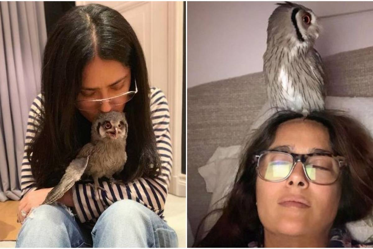Salma Hayek gleda televiziju i meditira s ljubimicom sovicom