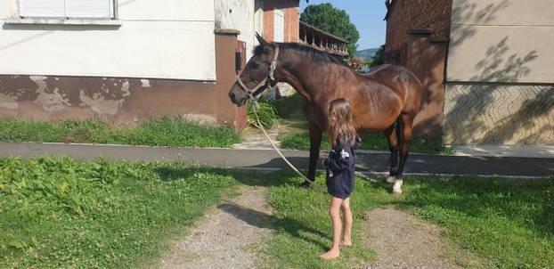 SUPER FOTKE vaših ljubimaca! Neki bi mogli biti viralni hit, ali svi su jednostavno neodoljivi