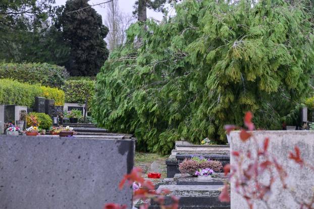 Zagreb: Teško oštećeno gradsko groblje Mirogoj
