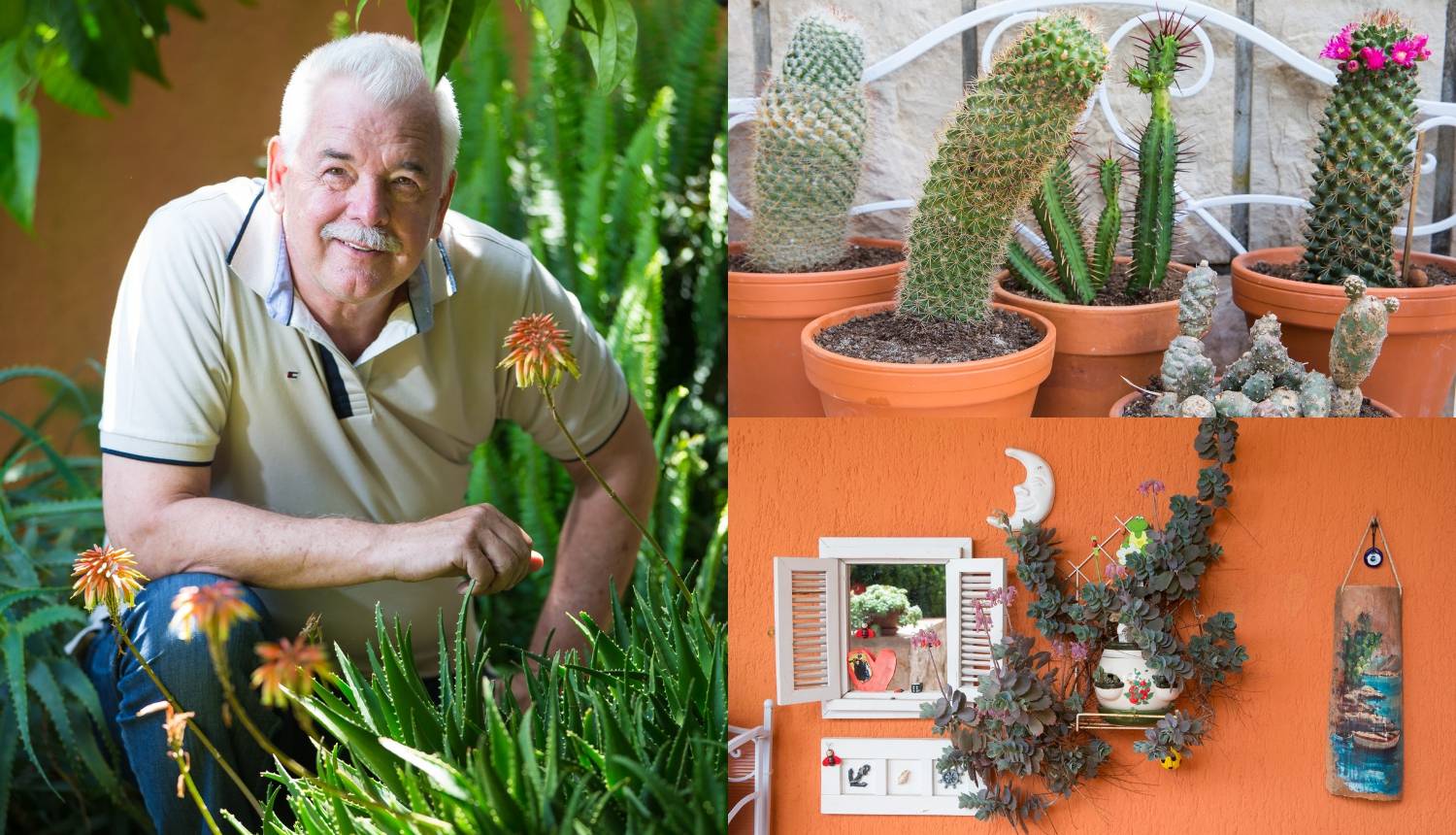 Životna borba Matea Beusana: Skoro sam umro zbog kaktusa