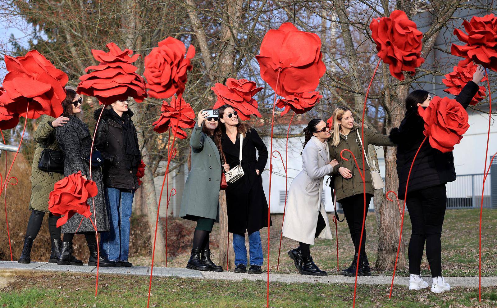 Jastrebarsko: U dvorcu Erdody postavljena instalacija crvenih ruža povodom Valentinova