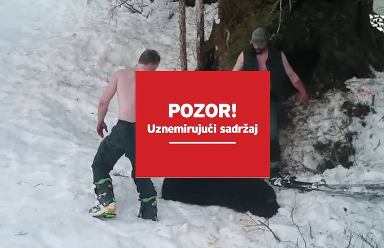 Spavali zimski san: Otac i sin ubili medvjedicu i mladunce...