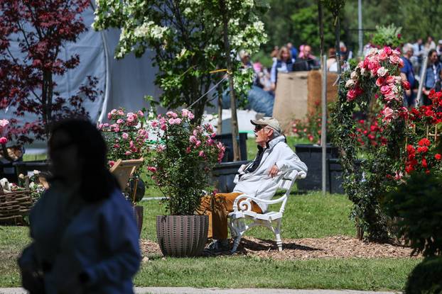 Zagreb: Sunce obasjalo Flora Art