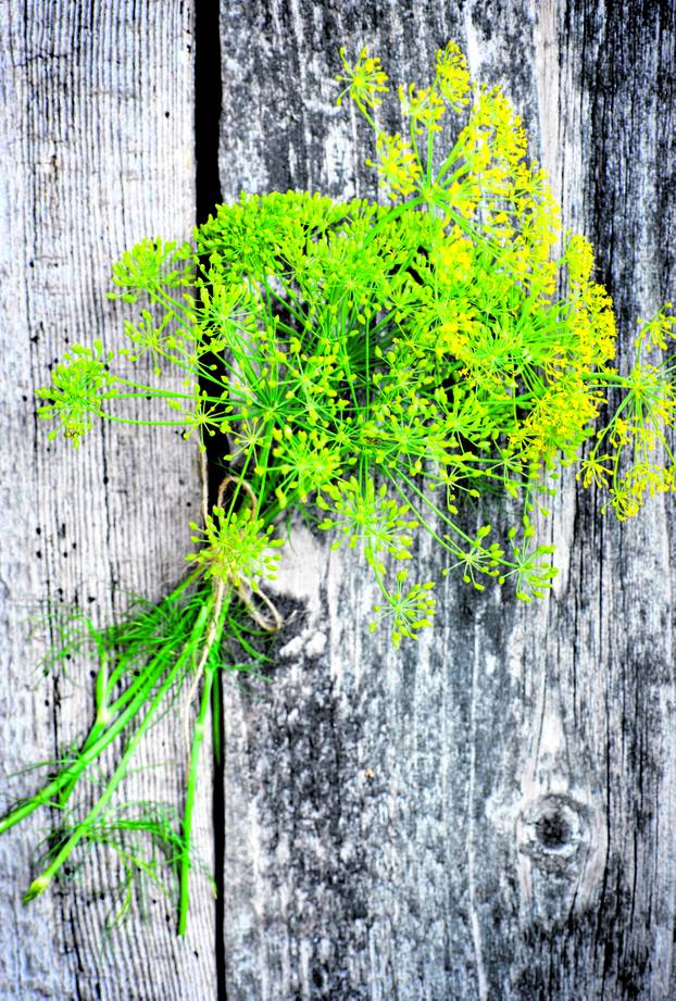 Namirnice s najmanje kalorija