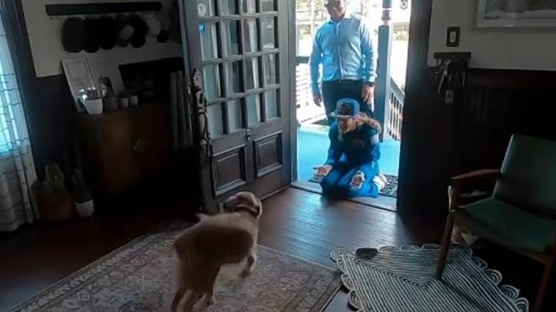 DIRLJIV VIDEO Evo kako je pas dočekao astronautkinju NASA-e