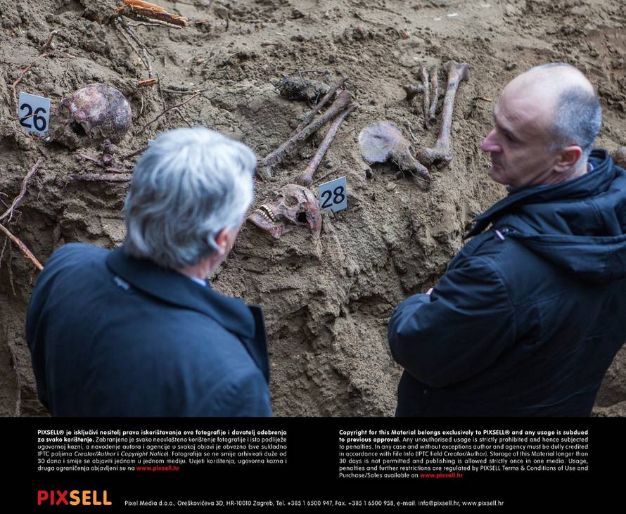 Grgo Jelavić/PIXSELL