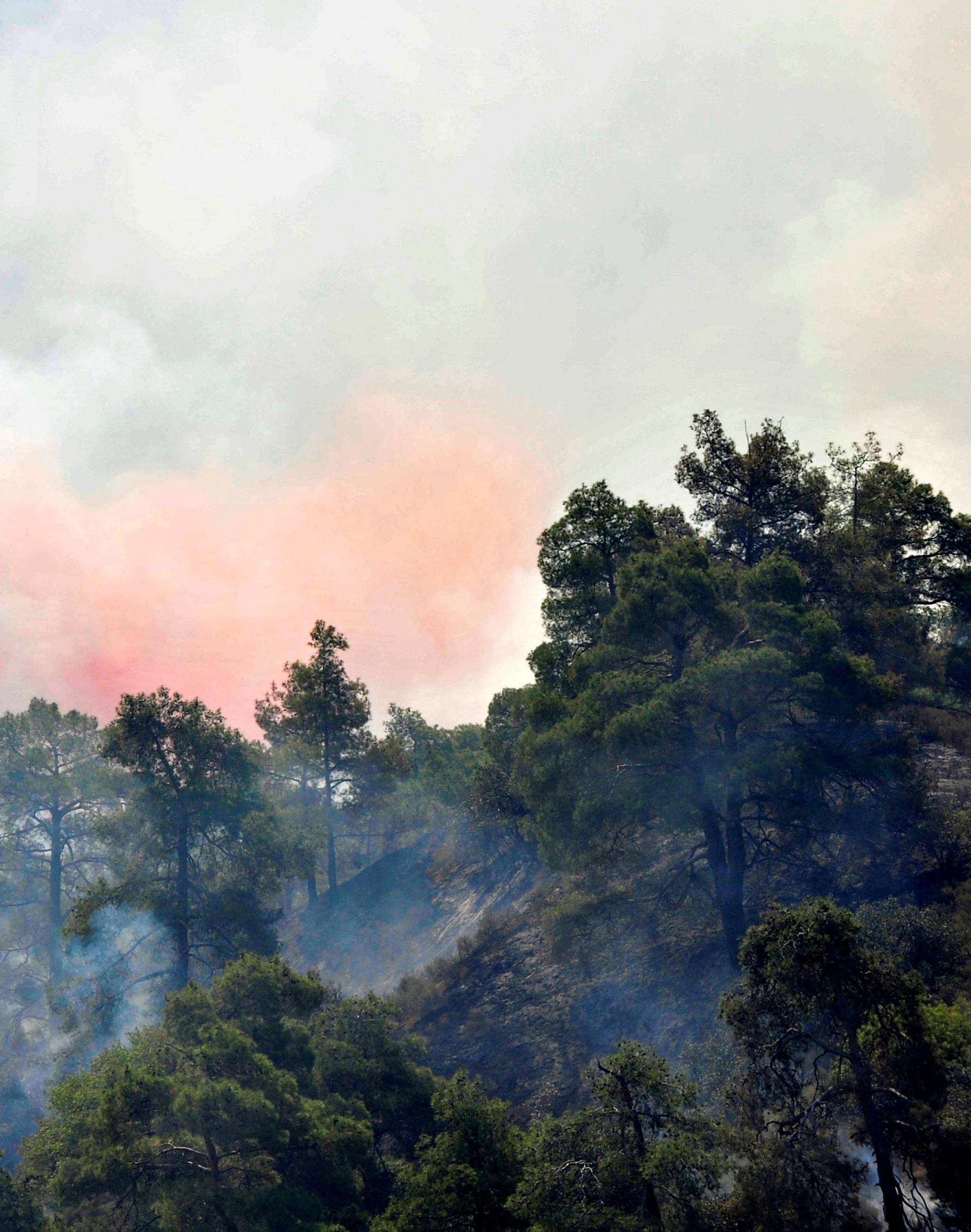A firefighting plane drops water onto a forest fire at the foothills of Troodos mountain region in Cyprus