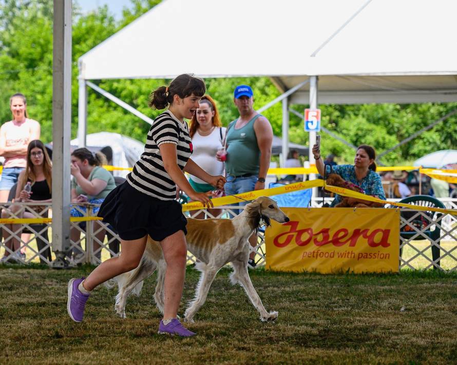 Kaja je dijete-anđeo, ali ima i svoje anđele čuvare s kojima osvaja srca na izložbama pasa!