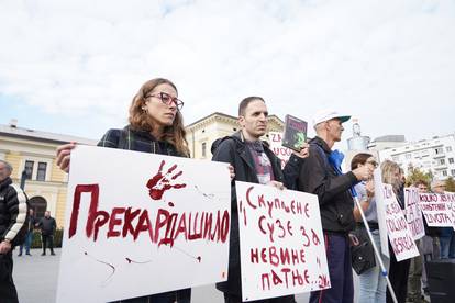 FOTO Bijes u Srbiji nakon strave u Novom Sadu: 'Mala su nam groblja za sve njihove greške'