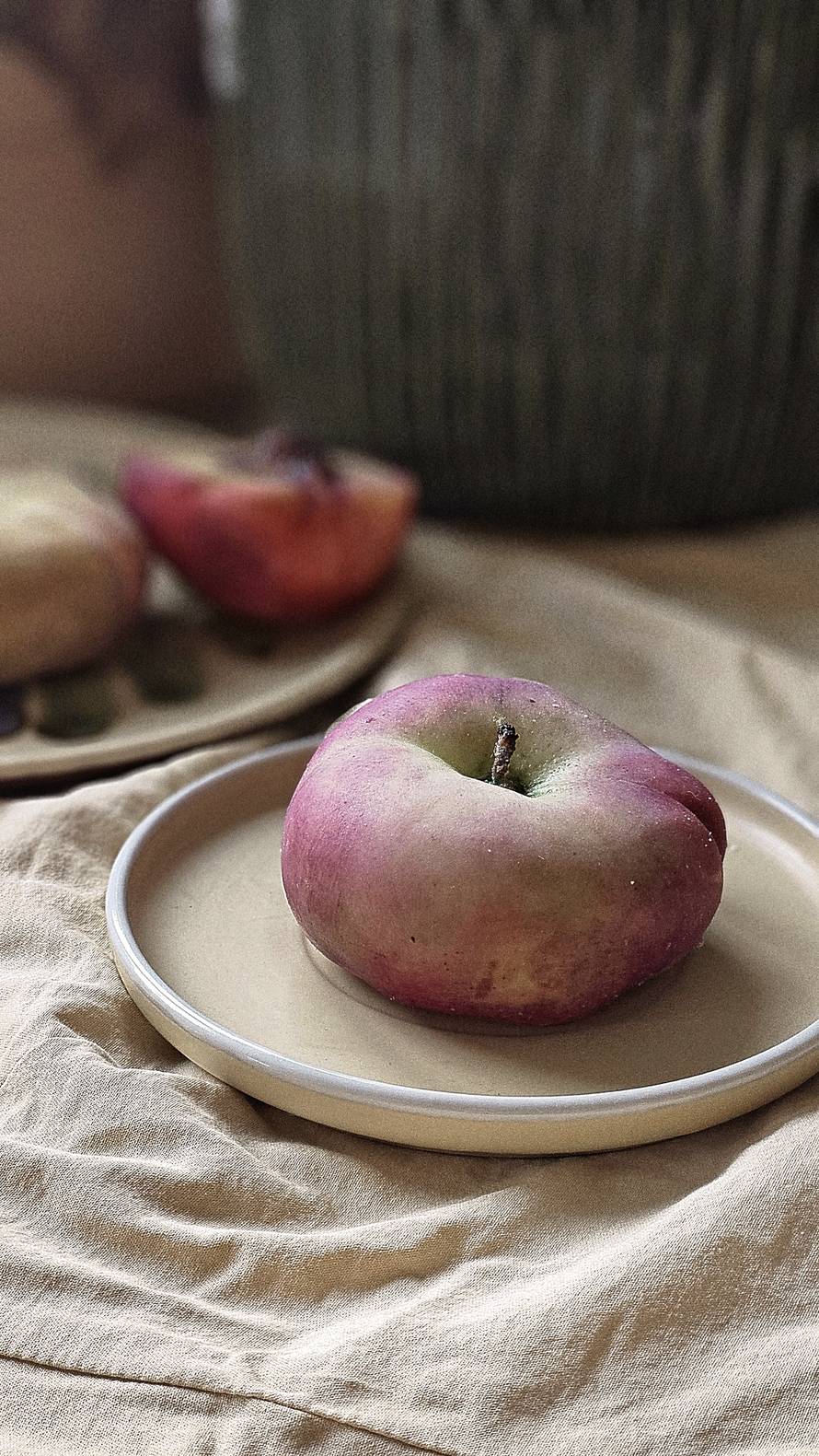 Kristina iz Vinkovaca pretvara vosak u savršeno realistične voćke: 'Ljudi ih obožavaju'