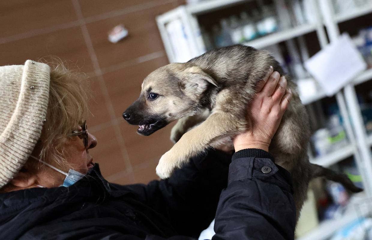 Poljski veterinar spasio 260 pasa i mačaka iz Ukrajine