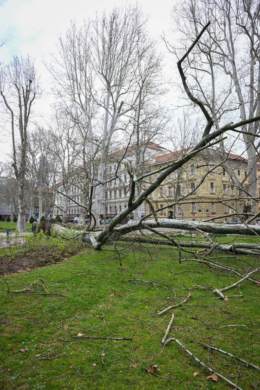 Zagreb: Posljedice nevremena na Zrinjevcu