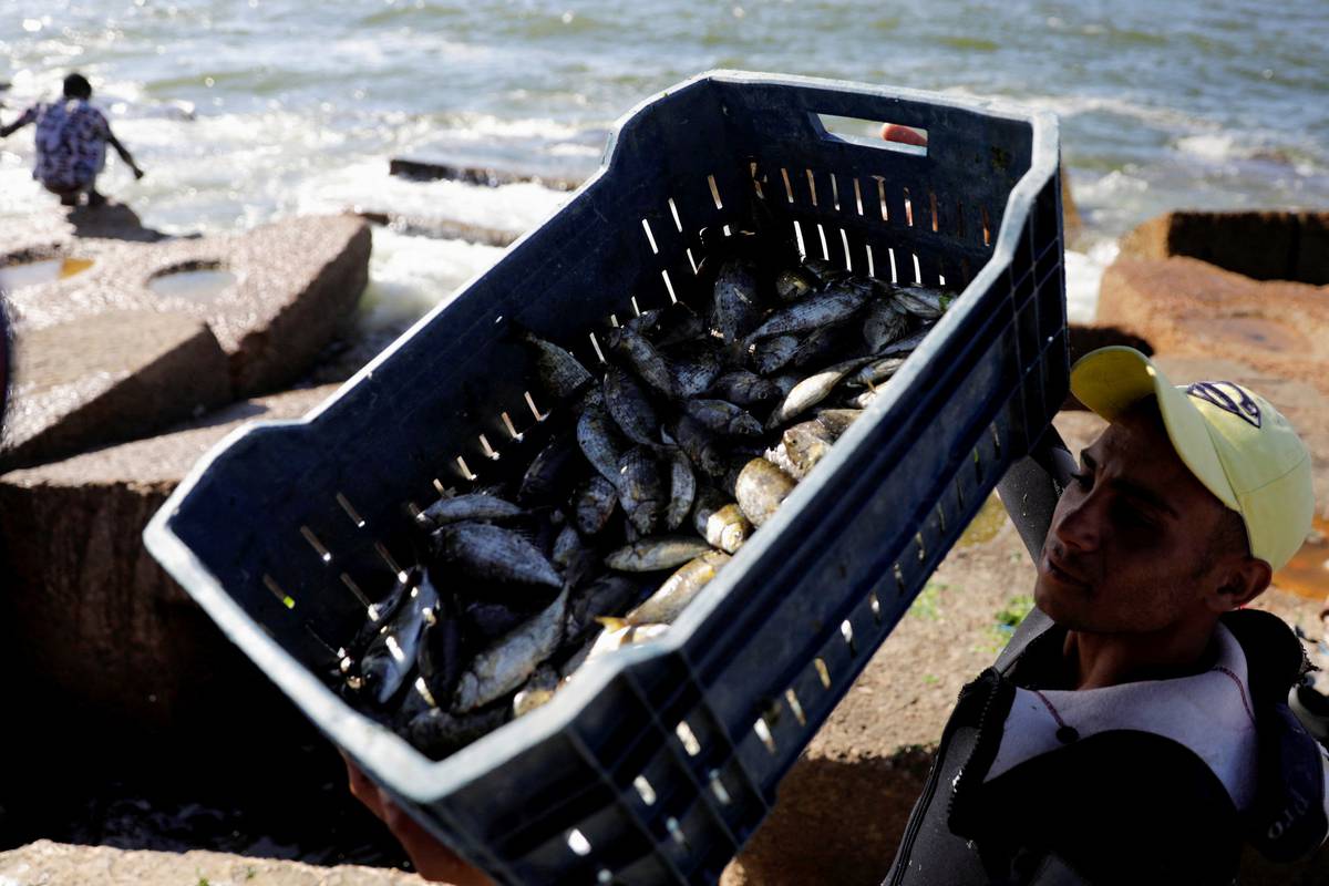 Kretski ribari žale se da nema ribe: Mislim da smo zadnja generacija koja živi od ribarstva