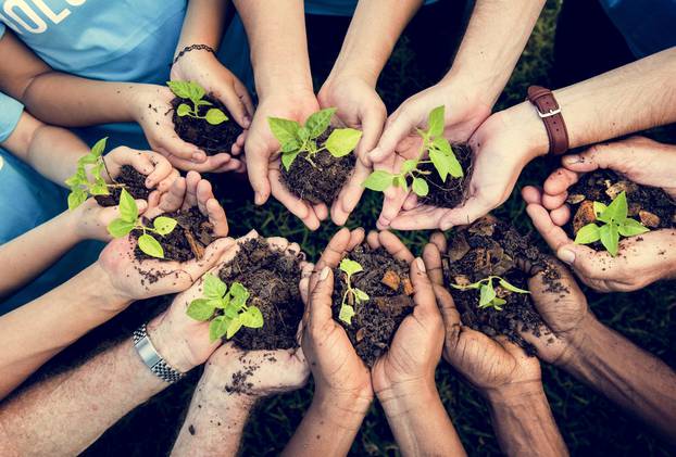 People,Hands,Cupping,Plant,Nurture,Environmental