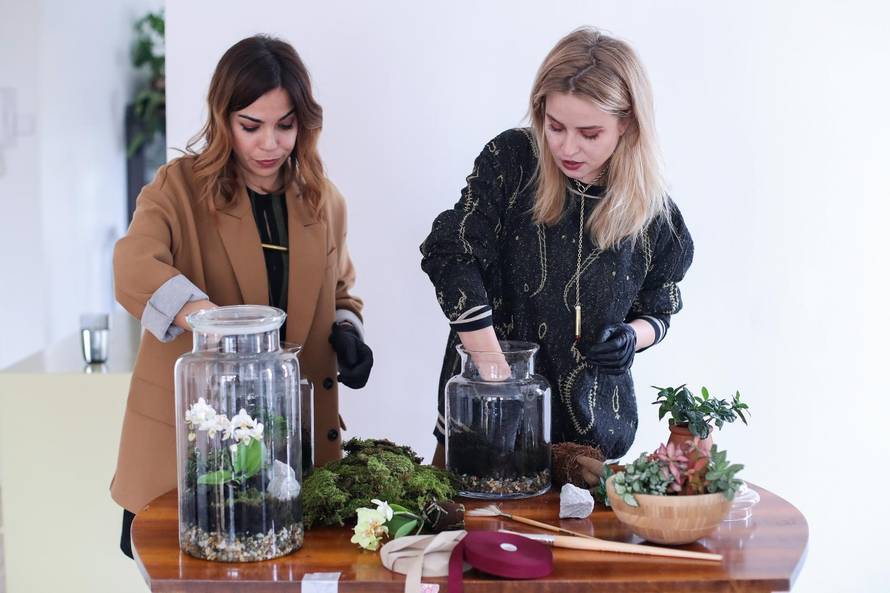 Vrt u posudi: Biljke u terariju trebaju decilitar vode godišnje