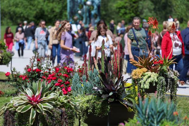 Zagreb: Sunce obasjalo Flora Art