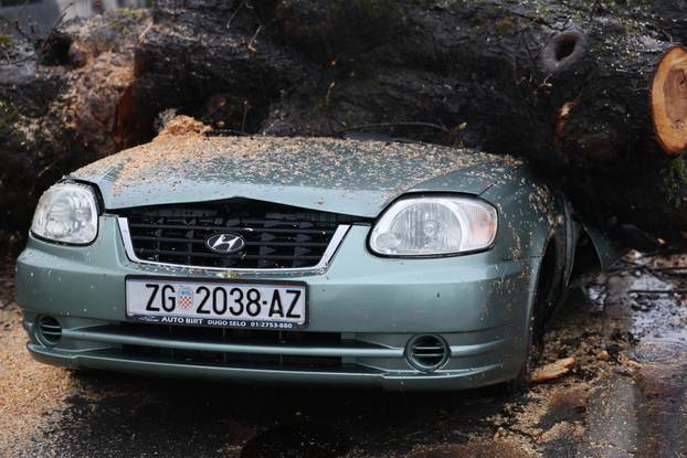 Zagreb: Nevrijeme srušilo stablo koje  je palo na automobil 