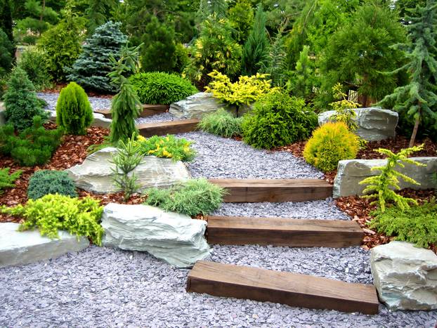 Designer,Garden,With,Fresh,Plants,And,Stones