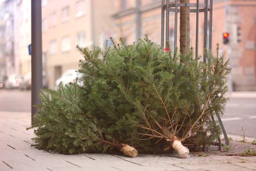 Evo kada ove godine treba raskititi bor, nije na Sveta tri kralja kako mnogi misle i rade