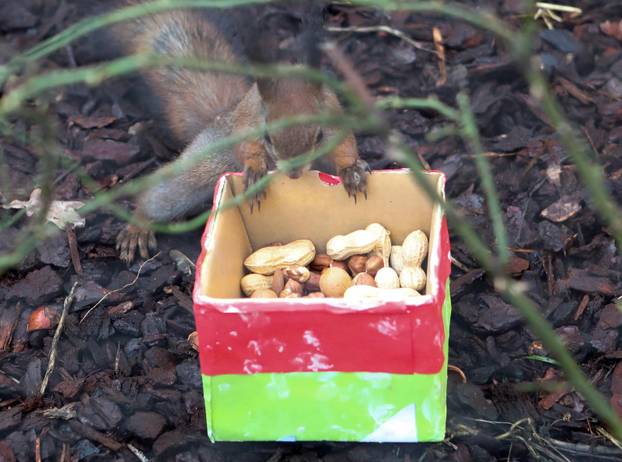 Tradicionalno darivanje životinja u zagrebačkom zoološkom vrtu na Štefanje