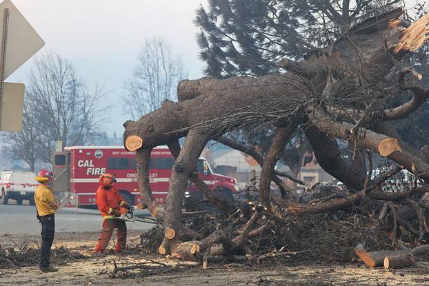 100 FOTOGRAFIJA UŽASA Ovo su vatrogasci snimili u paklu LA-a!