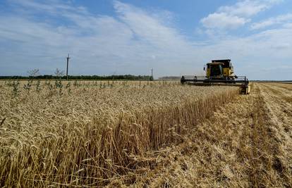 Varšava i Kijev postigli dogovor o tranzitu žita: Odgovornost za kontrolu žita preuzet će Litva