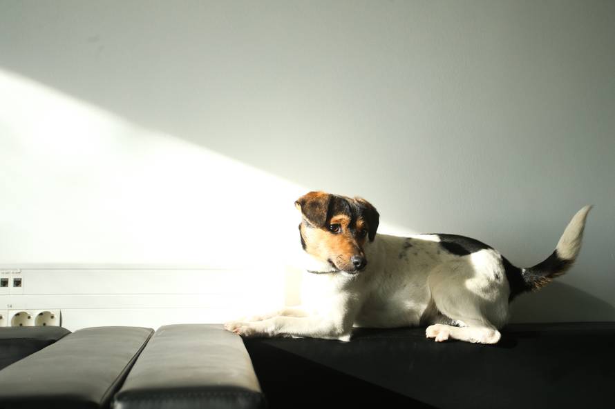 'Bio sam skitnica, a sada sam superpolicajac i šnjofam drogu'