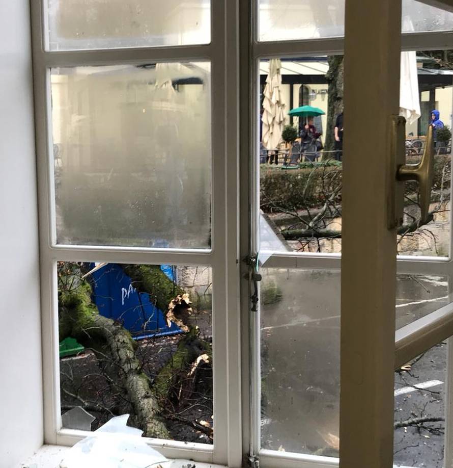 Čuo se prasak: Ogromno stablo srušilo se na ulicu u Zagrebu...