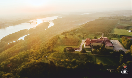 Graševine Vina Erdut ponovo zlatne