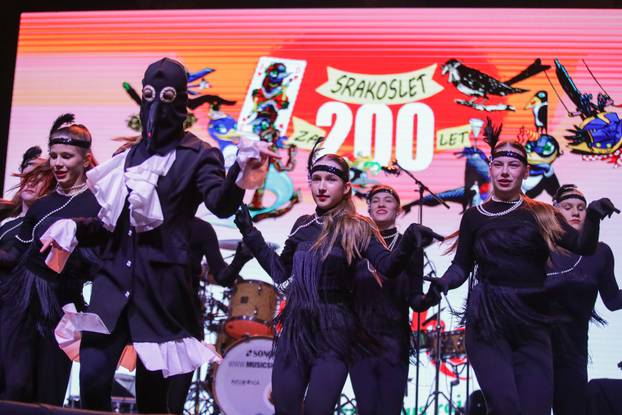 Svečano otvorenje 200. Samoborskog fašnika