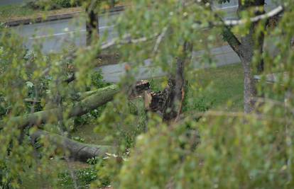 Varaždin: Stablo se srušilo i zapriječilo izlaz sa parkirališta