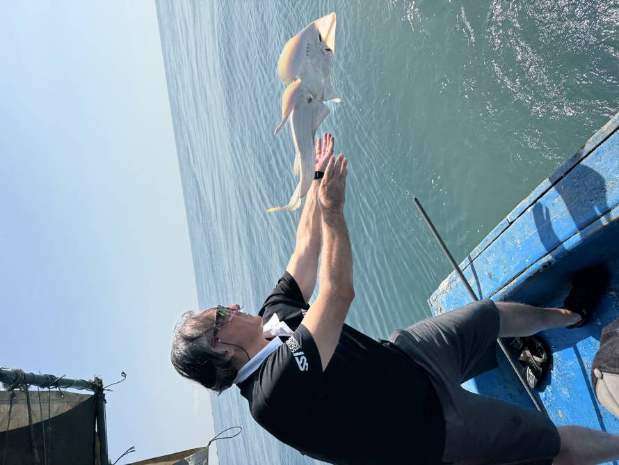 FOTO Izumrlu vrstu jadranskog ražopsa pronašli u Crnom moru. Soldo: Ovo je velik uspjeh