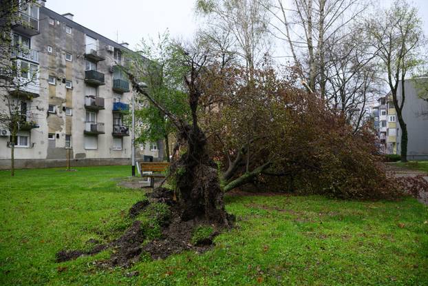 Zagreb: Olujni vjetar poharao Špansko, dignuti krovovi i isčupana stabla 