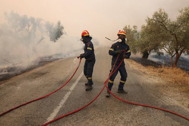 Wildfire rages in Evros region