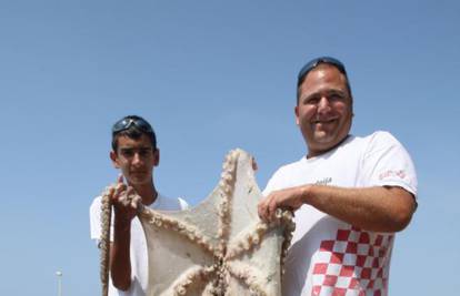 Bravo majstore! Mate ulovio hobotnicu od 10,2 kilograma