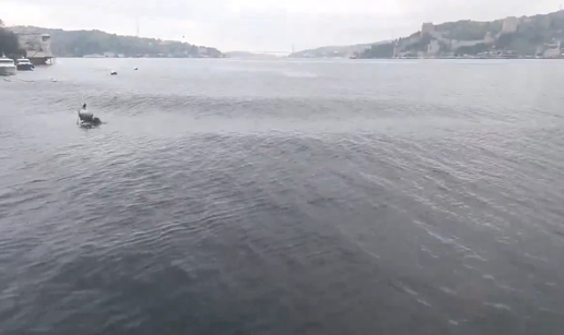 Pogledajte kako je 'zaplesalo' more nakon potresa u Turskoj